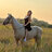 Gabbyhorse25