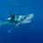 The_OceanStudier
