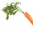 Junior_Carrot