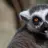 legolemur1313