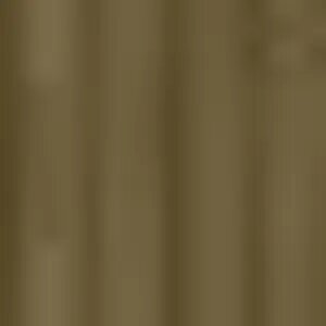 Birch Plank Texture