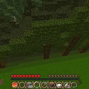 flat trees