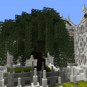 Gondolin Trees