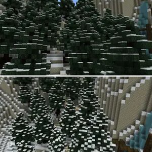 Winter Forest