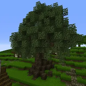 ShireTree