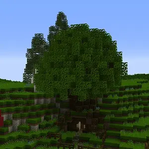WhitwellWIP