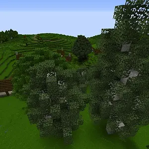 WhitwellWIP2