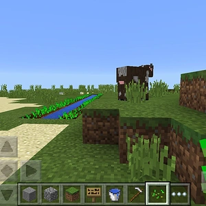 Linhir Farm