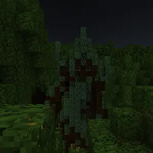 Fangorn
