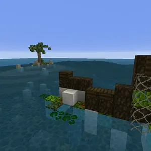 Melon Wreck