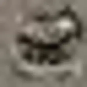 Prismarine_rough_4