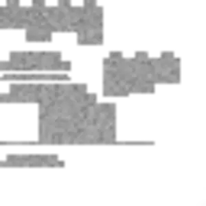 Skeleton