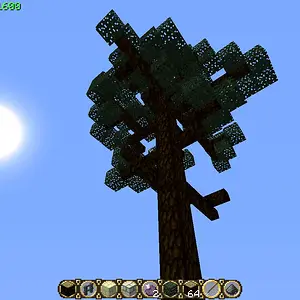 Pine1