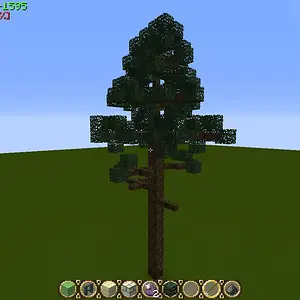 Pine2