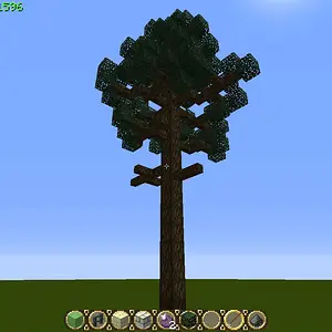 Pine3