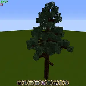 Pine4