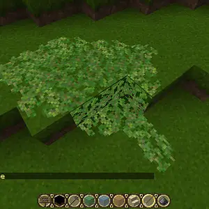 Moss