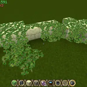 Moss1