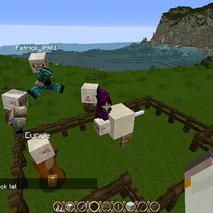Sheep