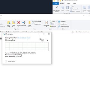 How to remove or force reinstall the server resource packs