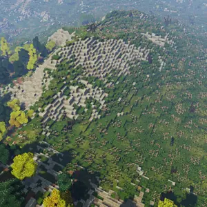 11.png