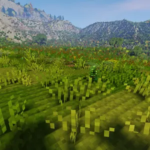 12.png