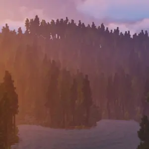 /warp north