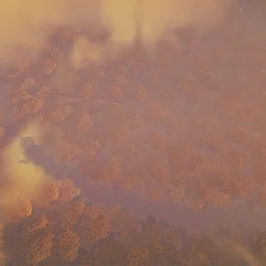 The Golden Woods