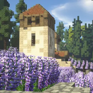 Lavender