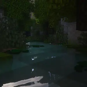 A Frog's View