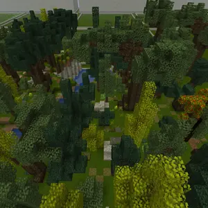 forest