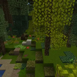 forest