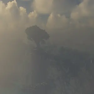 Tree in Sunlight