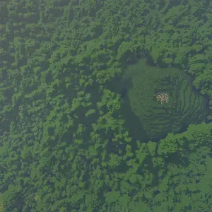 The Old Forest from above