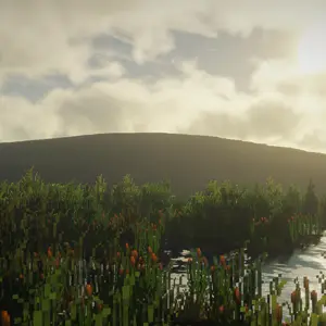 Marsh