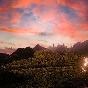 That moss stuff near Rivendell~