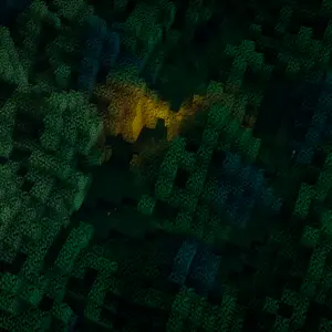 Old forest 2