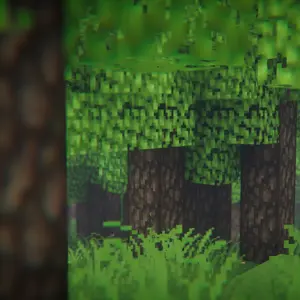 Old forest 3