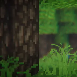 Old forest 4