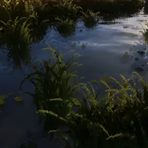 2021-07-08_11.53.54.png