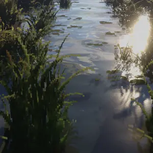 2021-07-08_12.02.11.png