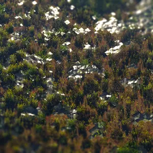 2021-07-15_15.40.49PS.png