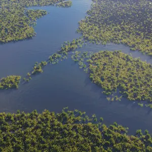 Dead Marshes