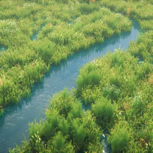 Fenmarsh