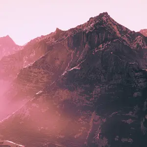Andrast pink