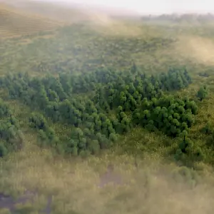 Dead Marshes Aerial Foggy