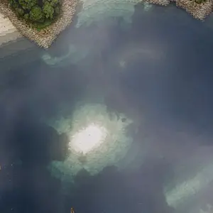 Estuary.webp