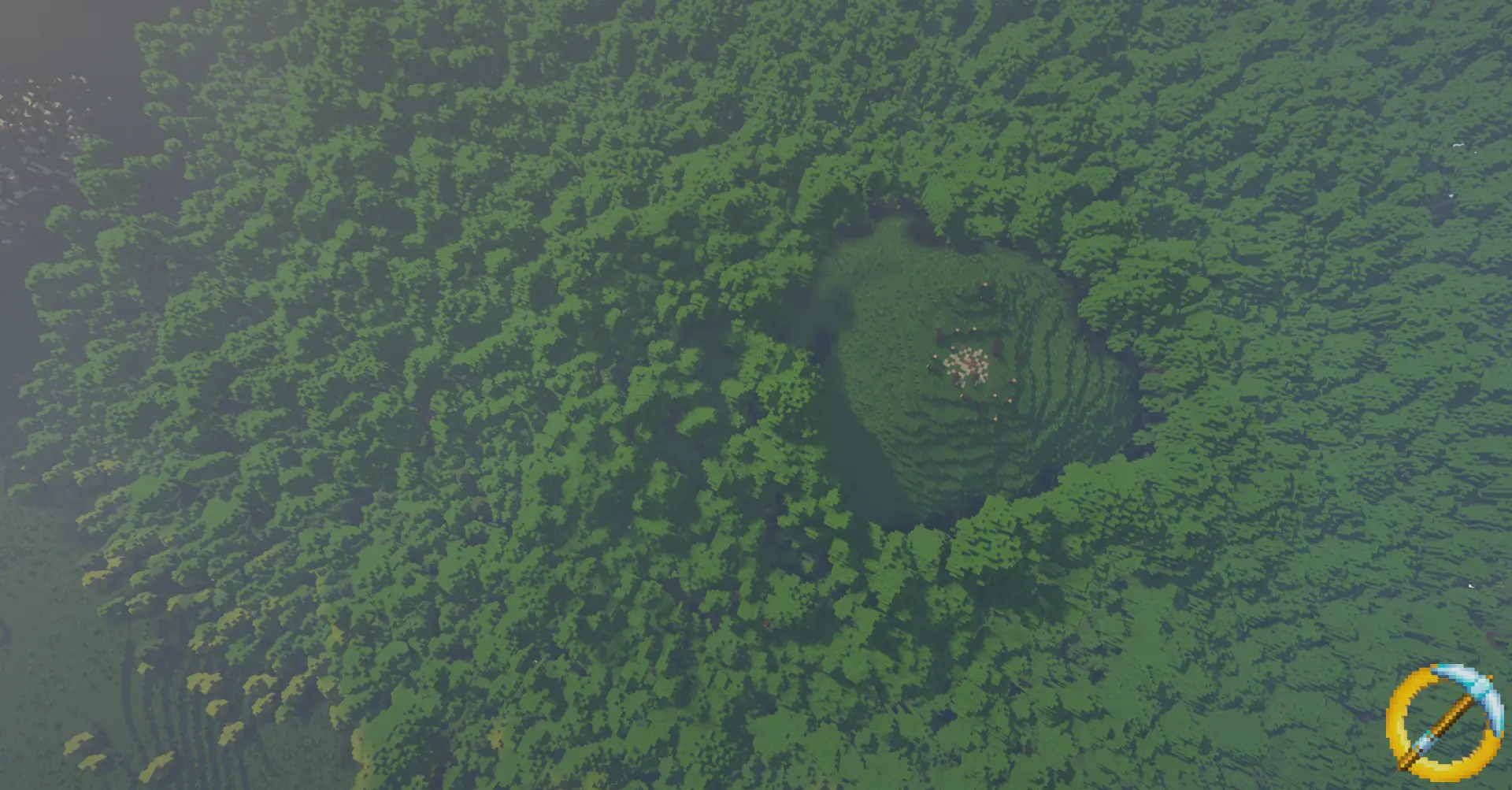 The Old Forest from above