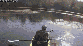 qGkQmeb.gif