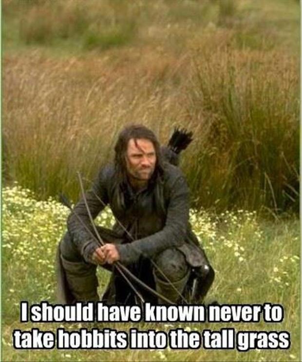 funny-pictures-lord-of-the-rings1.jpg